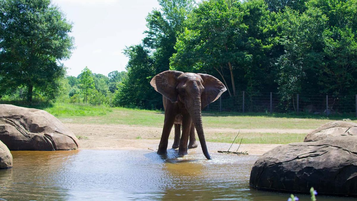 15 Fun Family Destinations in North Carolina